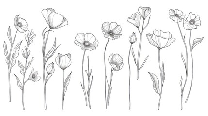 Obraz premium A set of delicate wildflower line drawings, each with its own unique design and shape. In the style of minimalist generated with AI
