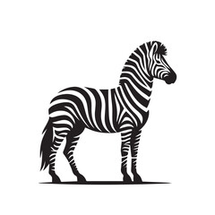 zebra silhouette ,zebra silhouette art , zebra silhouette images , zebra silhouette clipart , zebra silhouette  png