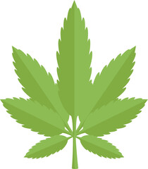 Green marijuana leaf with seven leaflets growing on white background