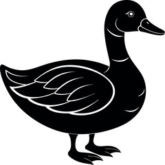        Beautiful duck silhouette vector illustration.
