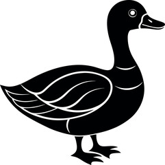        Beautiful duck silhouette vector illustration.
