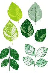 Green and light green leaf stamp print in the style of clipart on a white background 