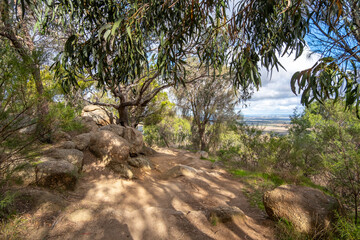 Fototapeta premium A rugged outdoor area with dirt walking track, rocks and Australian native forest trees in mountains. A hiking trail in You Yangs Regional Park, VIC, Australia.