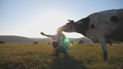 Young guy making selfie photo with cow on his smartphone at sunset. Curiously animal posing for camera. Beautiful landscape of countryside at background. Scenic rural scene. Animal love concept