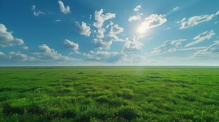 Obraz premium drone view beautiful green grass savana wide, bright sky with clouds blue, day light hyper realistic, extreme top angle 