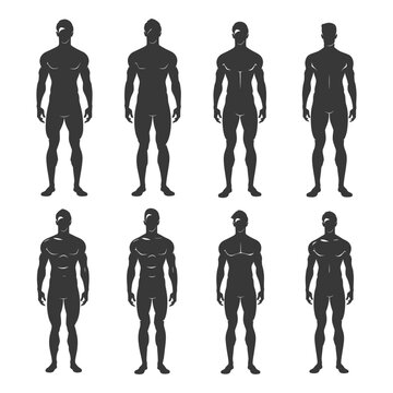Male Figure Silhouette Types: Vector Body Shape Chart.
