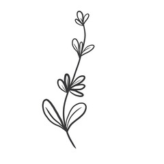 Abstract Floral Line Art