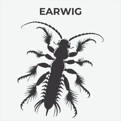 A Distinctive Earwig Silhouette for Multi-Format Design Projects. Vector Illustration