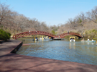 こどもの国　太鼓橋　横浜市青葉区