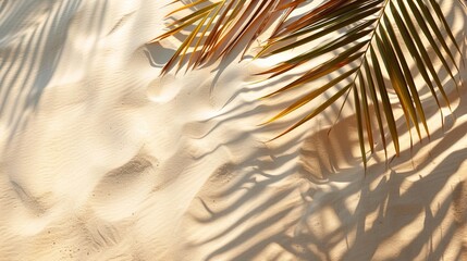 Obraz premium Tropical palm leaf shadow. Summer beach sand fashion background 