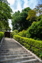 鎌倉246　荏柄天神社5　ご神木