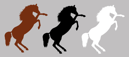 Black, white and brown silhouette of a rearing Arabian horse. Equine drawing.	