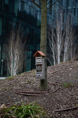 Wooden insect house made by people. Bug hotel in the city in spring.