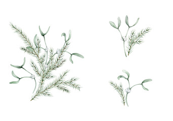 New Year's set of green plants and berry white mistletoe. Clipart with coniferous forest branches of spruce or fir and pine. Watercolor hand drawing illustration on isolated white background.