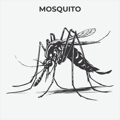 A Clear and Mosquito Lice silhouette for Versatile Applications. Vector Illustration