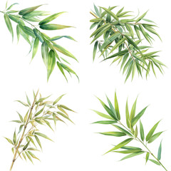 Four watercolor illustrations of bamboo branches with green leaves isolated on a white background