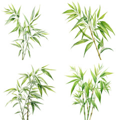 A collection of watercolor illustrations of bamboo leaves and stalks, featuring various shapes and sizes, all depicted on a white background