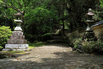 初夏の参道　五台山竹林寺　（高知県　高知市）