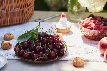 Outdoor summer picnic. Fruits and berries on the table. Sustainable living, femininity, and the elegance of rural life