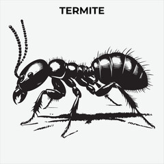 A Clear and Termite Lice silhouette for Versatile Applications. Vector Illustration