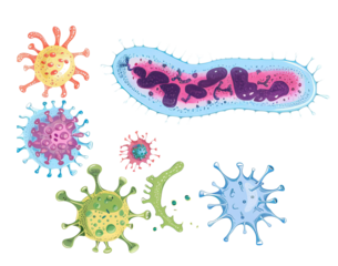 Set of microbes and viruses Isolated on Transparent Background