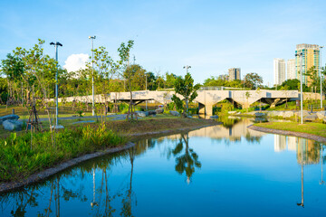 Green tree forest in city public park with office building outdoor recreation park