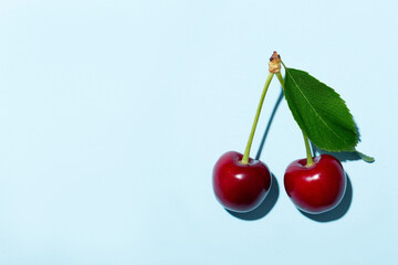 Two ripe cherries or sweet cherries on a blue background. Top view. Space for text.