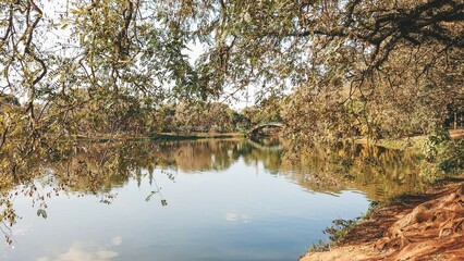 Ibirapuera Park skyline in the sunset hour. São Paulo, Brazil