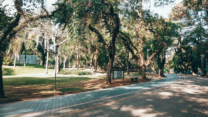 Cycling areas in the Ibirapuera Park, São Paulo, Brazil. Perfect weather for exercising