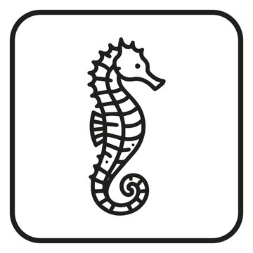 recommend clip art: seahorse line art