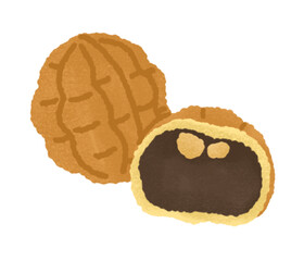 Waltnut cake snack, hodu-gwaja, korean winter street food. Cartoon style illustration