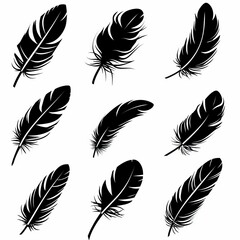 Feather icon, animal feathers isolated, black plume symbol, minimal plume silhouette on white