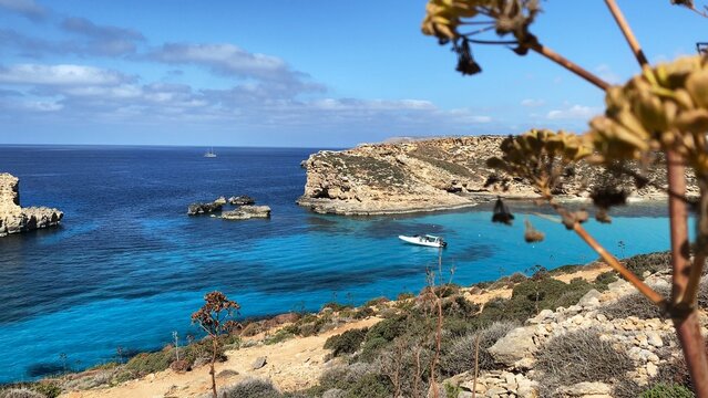 Revealing shot of Santa Marija tower on Comino island, malta, with wild dry cumin in the foreground. Island name Comino Maltese Kemmuna is derived from this plant name as its wide spread on the island