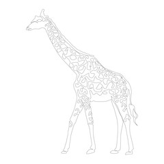 Continuous one line drawing. Giraffe head symbol. Logo of the giraffe. Wild animal. Vector illustration. Wildlife