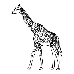 Naklejka premium Continuous one line drawing. Giraffe head symbol. Logo of the giraffe. Wild animal. Vector illustration. Wildlife
