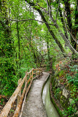 Algund, Waalweg, Algunder Waalweg, Waal, Wasserrinne, Wanderweg, Waldweg, Kastanienwald,...