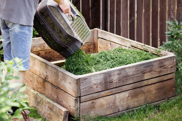 Compost Grass Clippings. Adding Green Grass from lawn Mower Basket into Compost Bin. Recycling...