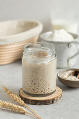homemade sourdough bread starter