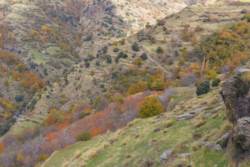 Fall time in alpujarras sierra nevada mountains in a diagonal