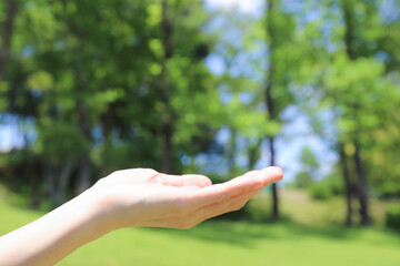 手のひらですくうイメージ