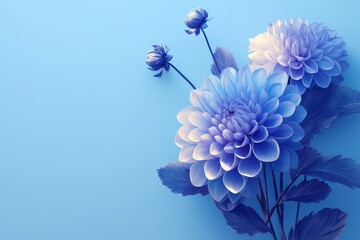 Delicate Blue Dahlias on a Light Blue Background