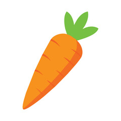  Carrot vector illustration isolated on a white background
