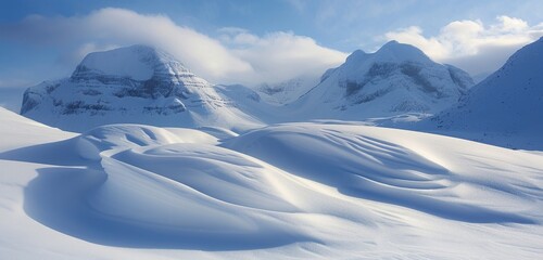 A desolate winter landscape featuring snow-covered mountains and icy terrain, shrouded in mist, creating a cold and atmospheric scene with a sense of solitude and harsh beauty.