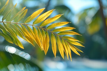 Green leaf of a palm tree against a background of blurred glare of light.
Concept: natural backgrounds, ecology. Copy space banner