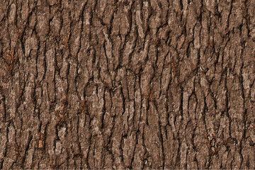 brown bark texture background