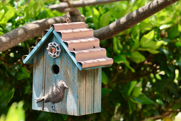 bird house hanging on tree branch