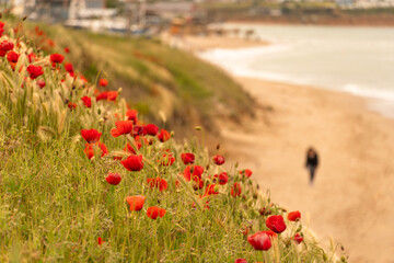 Background - a short walk on the beach