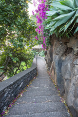 Madeira, Funchal - schöne Treppe