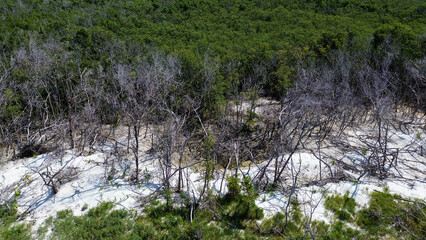 Nearly two years after Hurricane Ian, the island of Fort Myers Beach is still trying to rebuild from the Category 5 hurricane that nearly leveled the coastal community. 