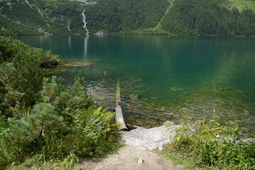 Tatry, Morskie Oko, drzewo w wodzie